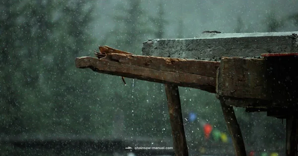 Rain Ready Chainsaws - Chainsaw Manual