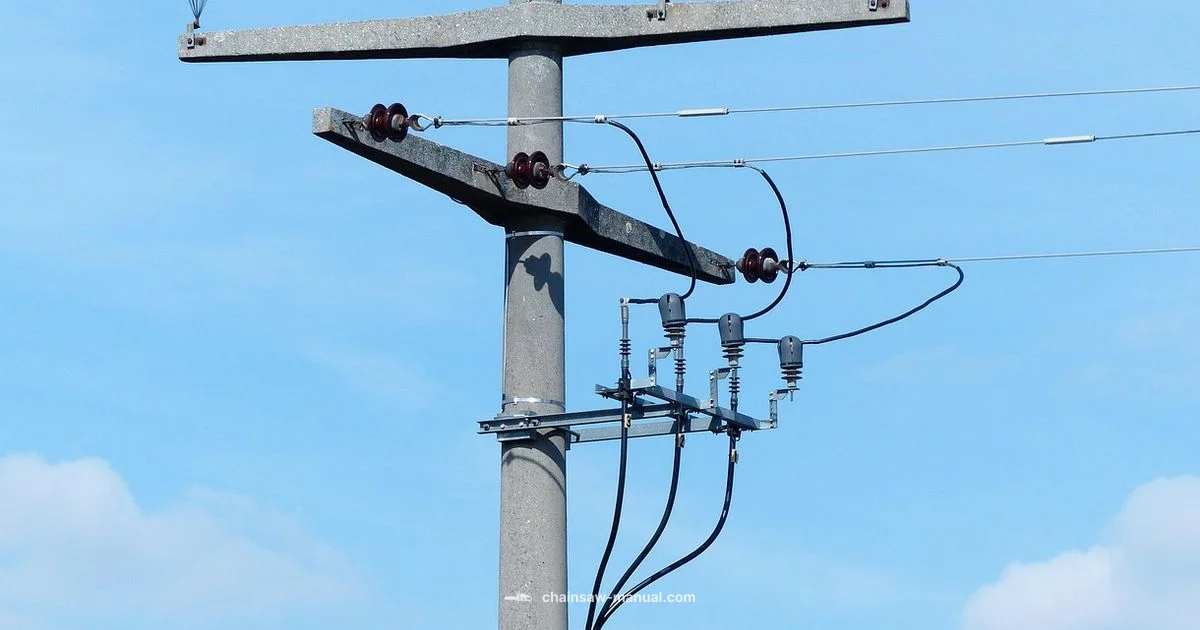 Pole Saw Gas Essentials Pole Saw Gas Essentials - Chainsaw Manual