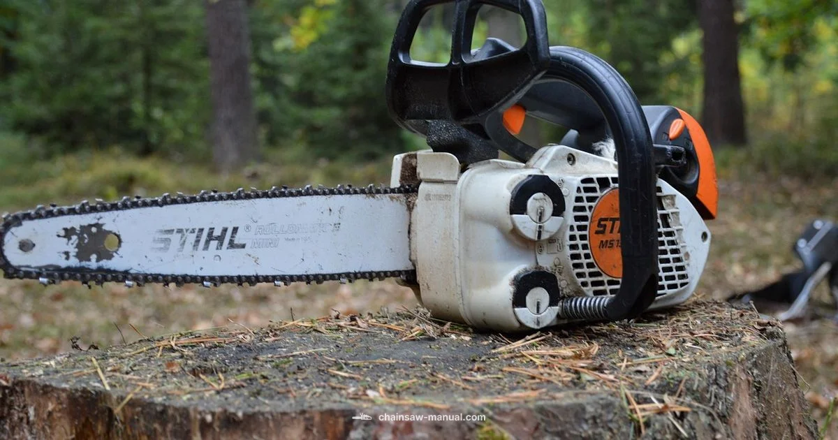 Chainsaw Carving Guide - Chainsaw Manual