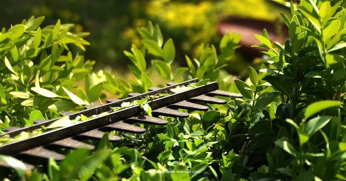 Hedge Chainsaw Guide Hedge Chainsaw Guide - Chainsaw Manual