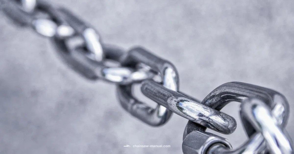 Carbide Chains Guide - Chainsaw Manual