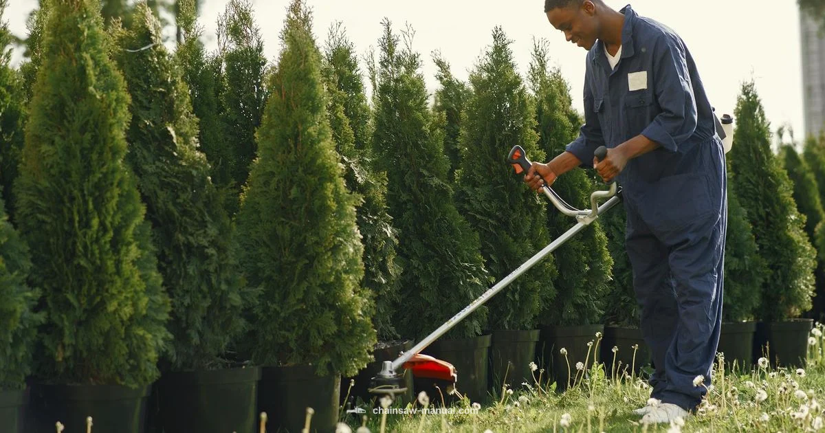 Top Handle Picks 2026 - Chainsaw Manual