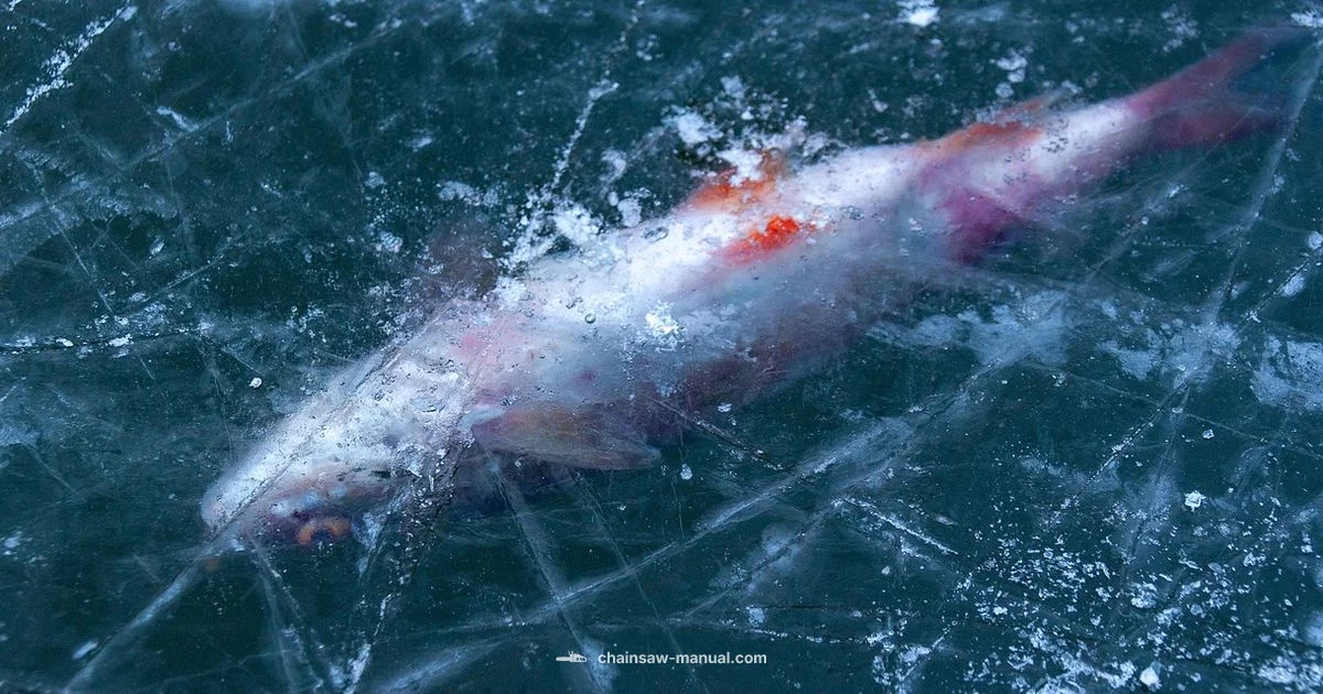 Ice Cutting with Chainsaw Ice Cutting with Chainsaw - Chainsaw Manual