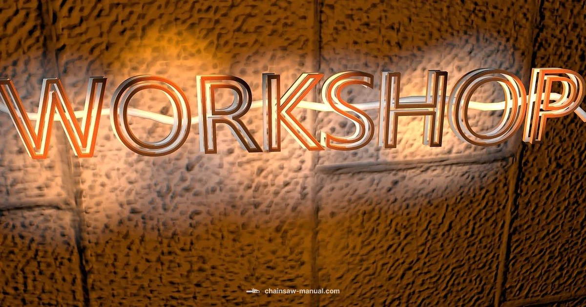 Safety Definition - Chainsaw Manual