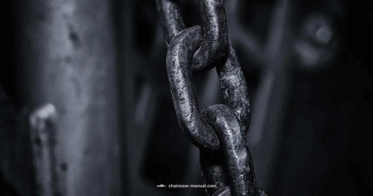 Chain Dullness Guide Chain Dullness Guide - Chainsaw Manual