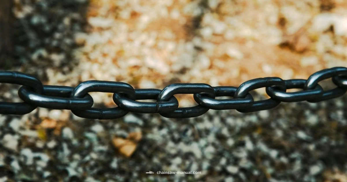 Chain Slack Guide Chain Slack Guide - Chainsaw Manual