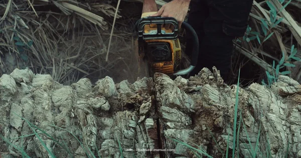 Chainsaw Origins - Chainsaw Manual