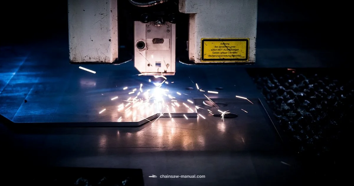 Bone Cut with Chainsaw Bone Cut with Chainsaw - Chainsaw Manual