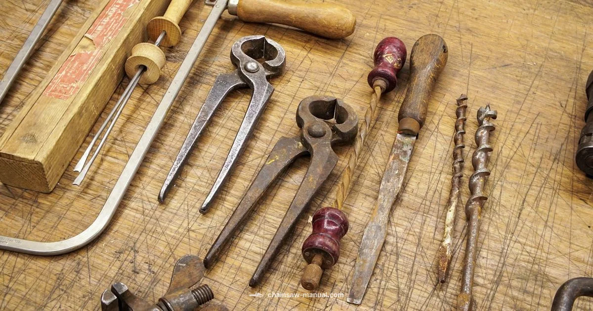 Chainsaw for Sale - Chainsaw Manual