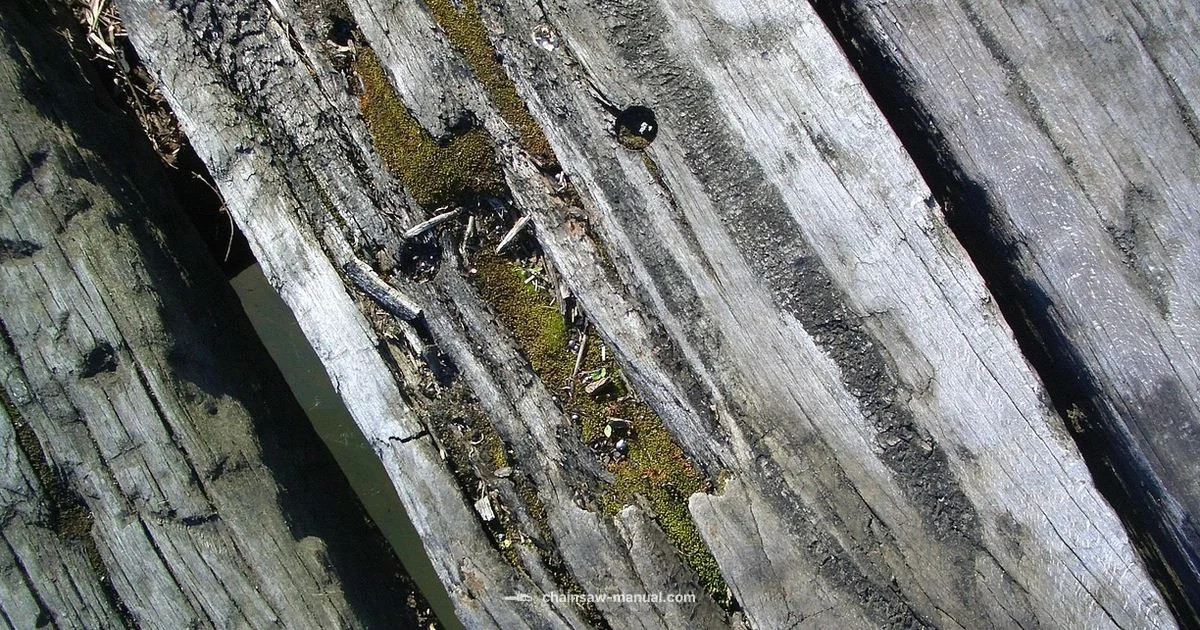 Guide Bar Essentials - Chainsaw Manual