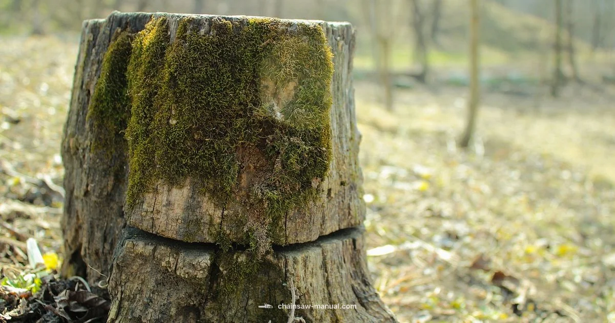 Stihl Chain Replacement - Chainsaw Manual