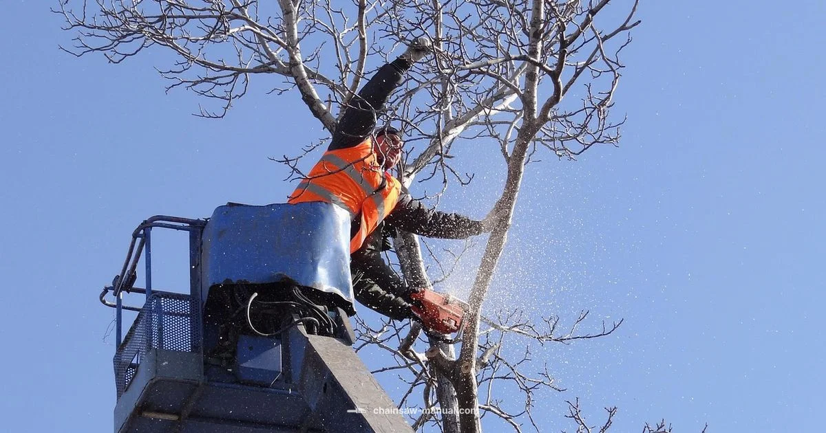 Tree Cutter Guide - Chainsaw Manual