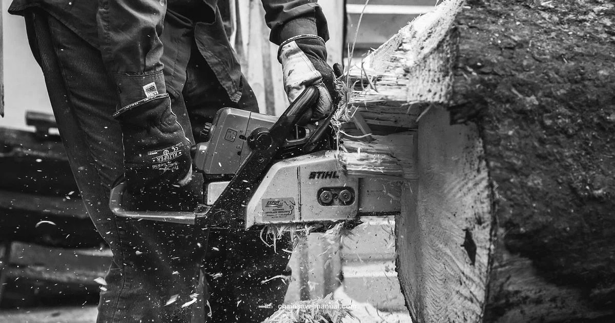 Where to Buy Chainsaws Where to Buy Chainsaws - Chainsaw Manual