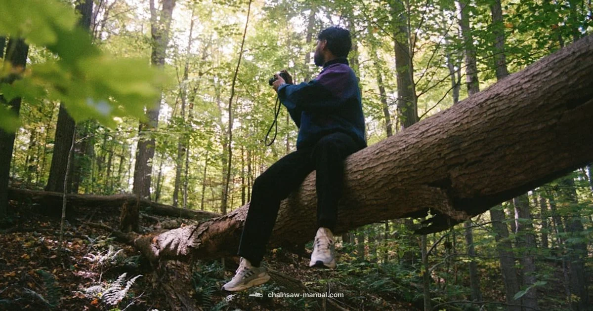 Proyama vs Stihl - Chainsaw Manual