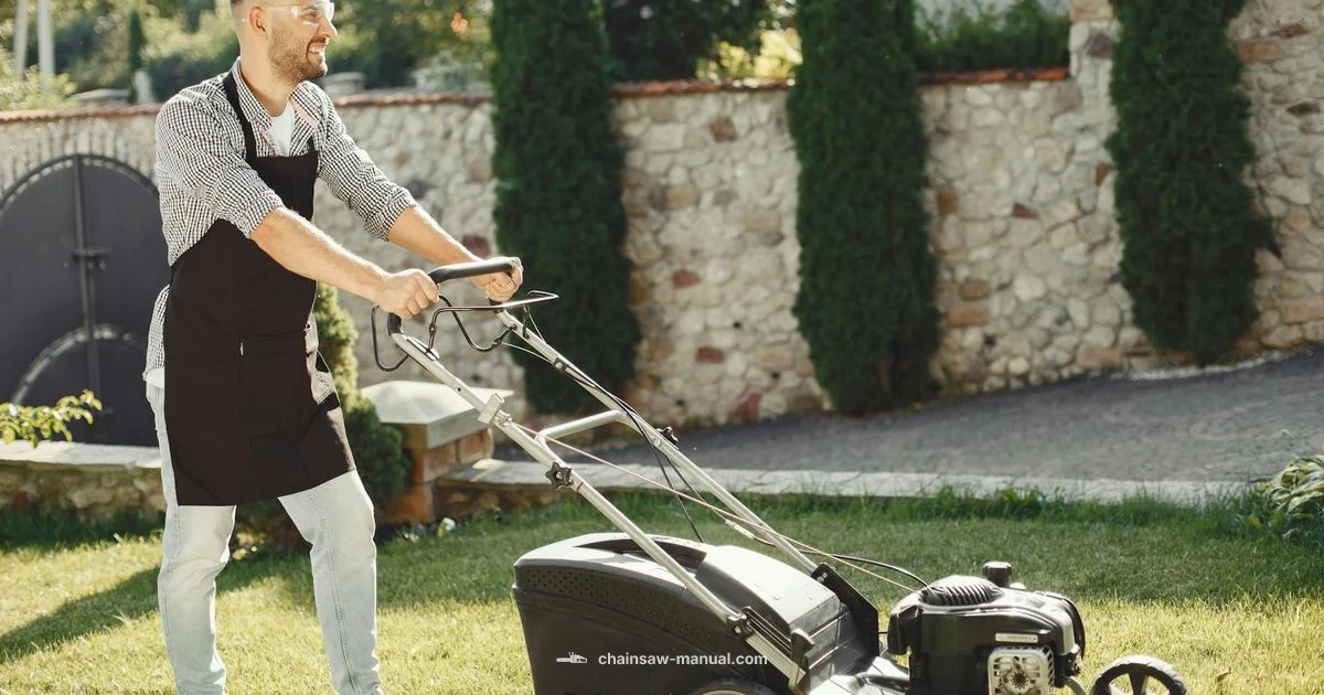 Chainsaw Safety Law - Chainsaw Manual