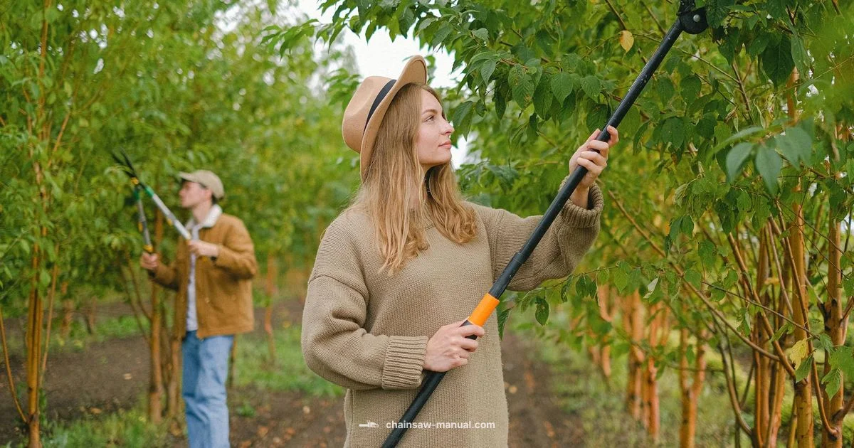 Gas Pole Saw Guide Gas Pole Saw Guide - Chainsaw Manual