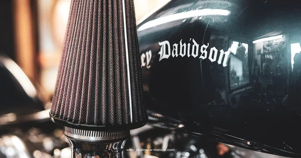 Chainsaw Heart Explained - Chainsaw Manual