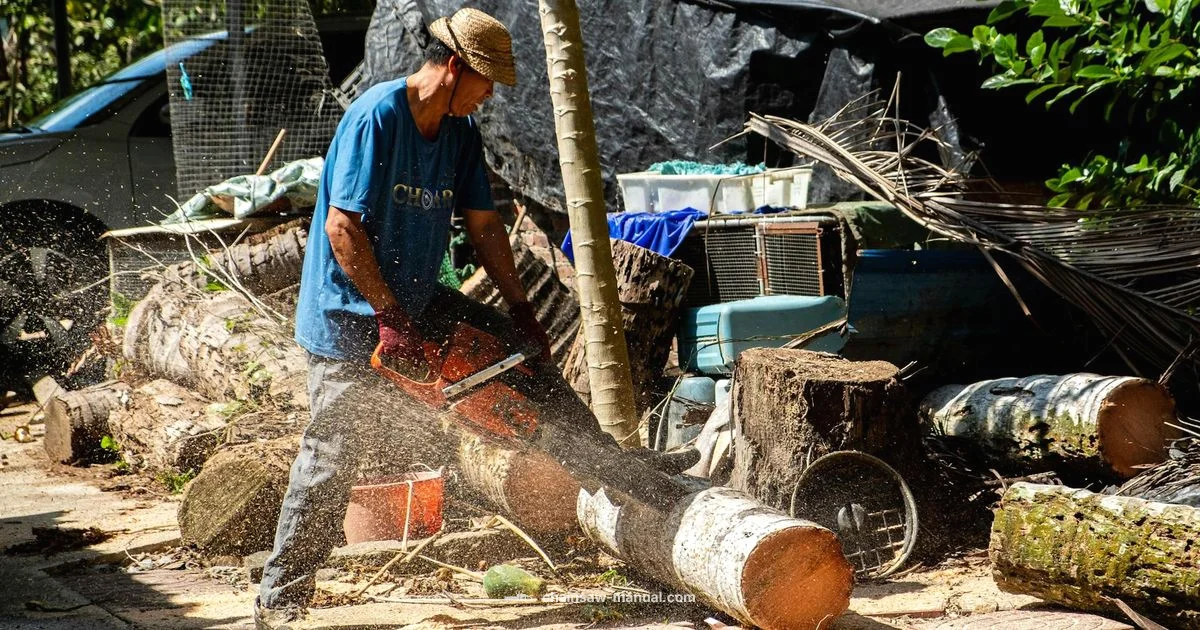 Chainsaw Cleaning Guide Chainsaw Cleaning Guide - Chainsaw Manual