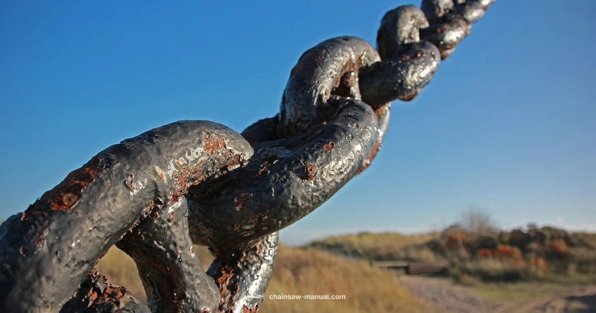 Tighten Chain Safely Tighten Chain Safely - Chainsaw Manual