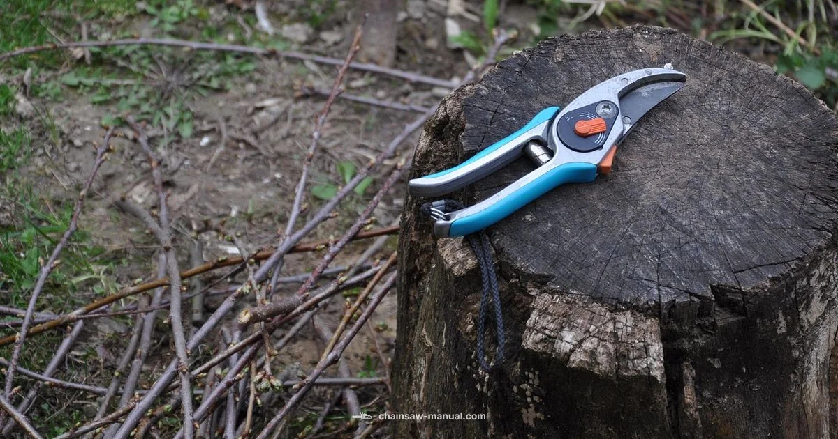Chainsaw vs Hedge Trimmer - Chainsaw Manual