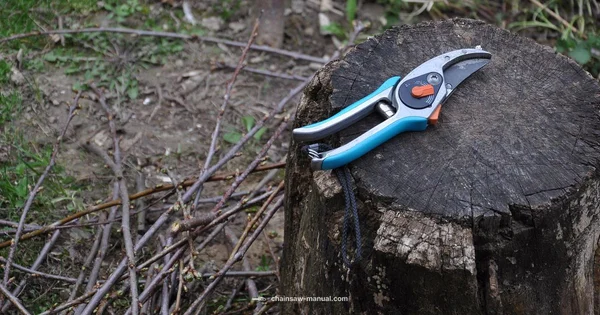Chainsaw vs Hedge Trimmer - Chainsaw Manual