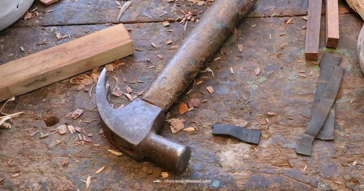 Safety First Safety First - Chainsaw Manual