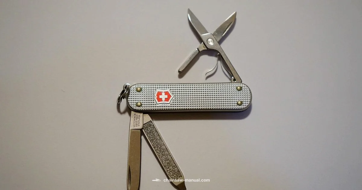 Chainsaw Sharpening Guide Chainsaw Sharpening Guide - Chainsaw Manual