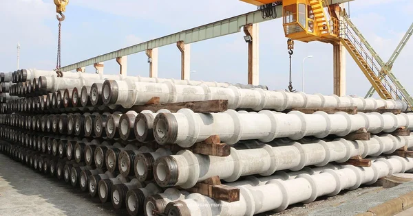 Bamboo Chainsaw Guide - Chainsaw Manual