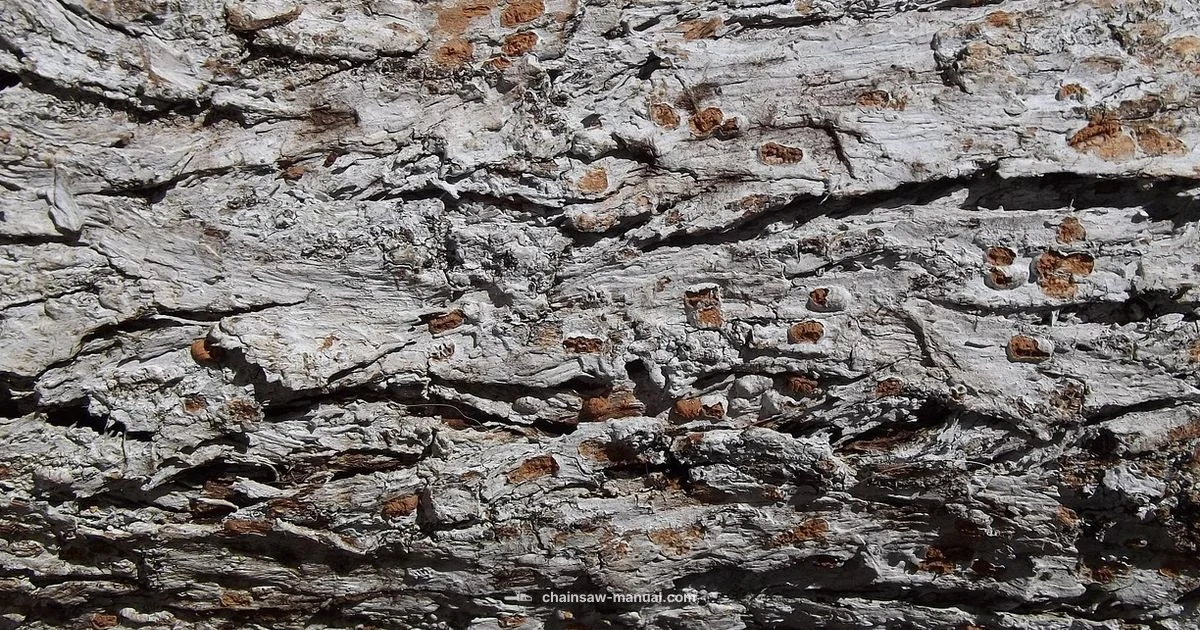 Bark Box Effects Bark Box Effects - Chainsaw Manual