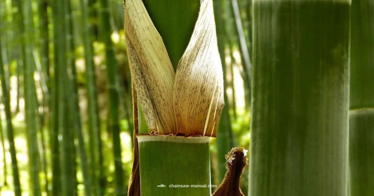 Bamboo Chainsaw Guide Bamboo Chainsaw Guide - Chainsaw Manual