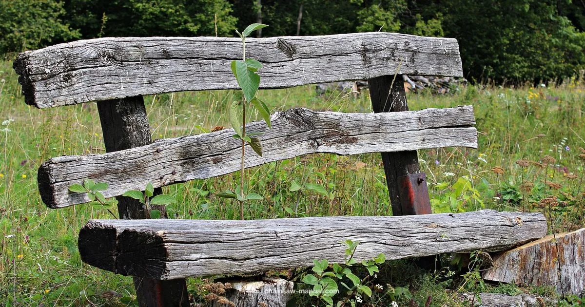 Chainsaw Name Defined - Chainsaw Manual