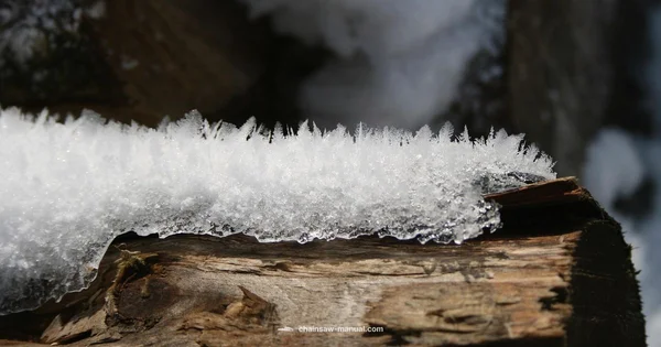 Frozen Wood Safety - Chainsaw Manual