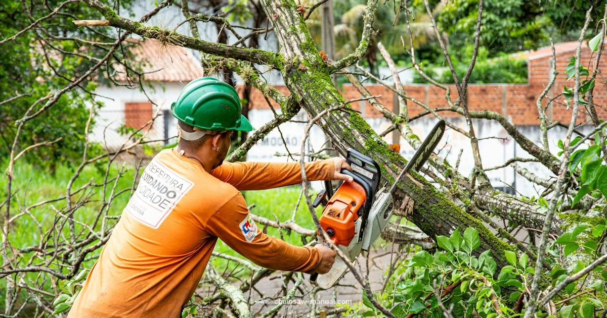 Chainsaw Porting Costs Chainsaw Porting Costs - Chainsaw Manual