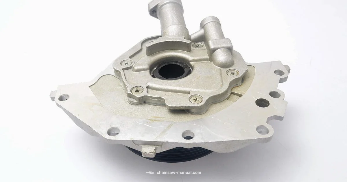 Best Chainsaw Oil 2026 - Chainsaw Manual