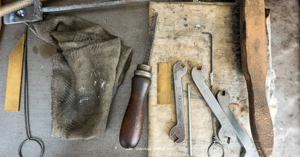 ACK vs ACG - Chainsaw Manual